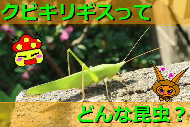 Thumbnail of post image 159